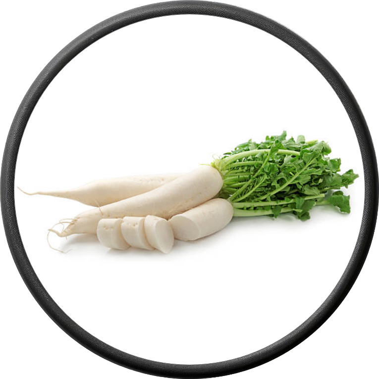 Fresh Radish